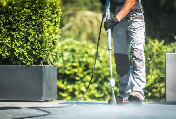 Best Sidewalk and Walkway Cleaning  in Cane Savannah, SC